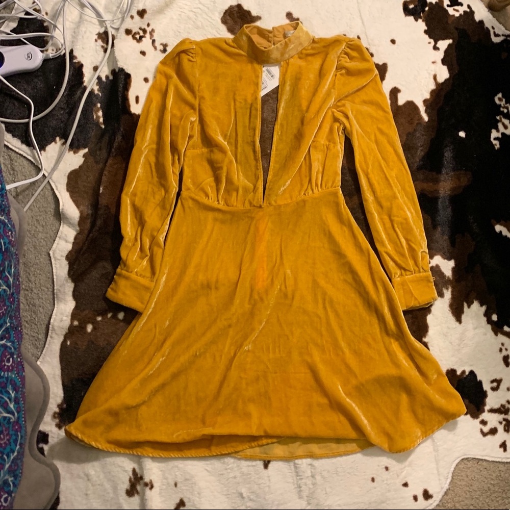 Brand new NWT little white lies gold velvet dress